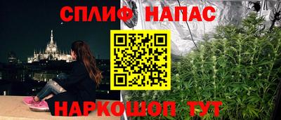 амф Заволжье