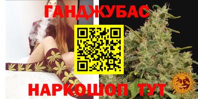 амф Заволжье