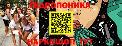 амф Заволжье