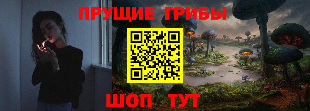 Галлюциногенные грибы Psilocybe  купить наркотики сайты  Вход с VPN  Ялта  Галлюциногенные грибы Psilocybine cubensis 